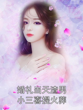 婚礼当天渣男小三喜提火葬孟夏顾城小说完整篇在线阅读