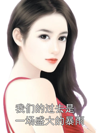 《我们的过去是一场盛大的暴雨》苏晚陆承宇章节在线阅读