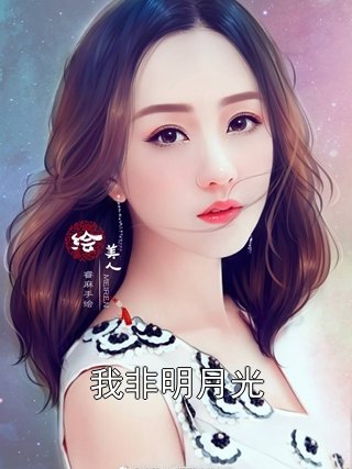 我非明月光沈辞苏灵犀小说完整篇在线阅读