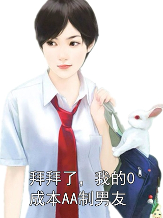拜拜了，我的0成本AA制男友林宇王宝钏小说完整篇在线阅读