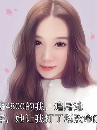 月薪4800的我，追尾她的车，她让我打了场改命的局苏然顾清宁小说完整篇在线阅读