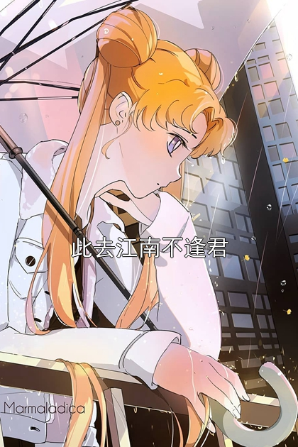 此去江南不逢君贺璟之思茵小说完整篇在线阅读