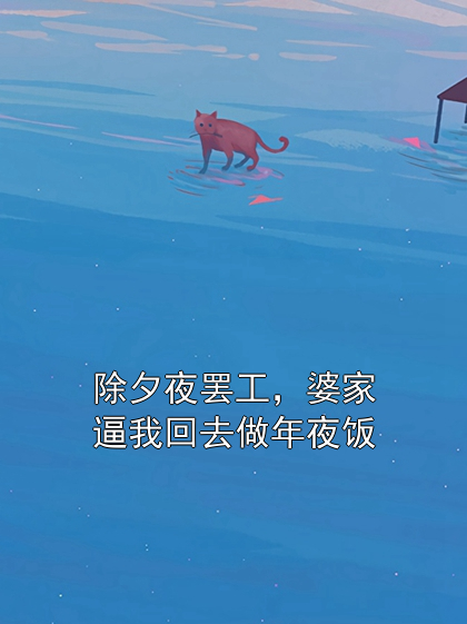 除夕夜罢工，婆家逼我回去做年夜饭林晚徐峰小说完整篇在线阅读